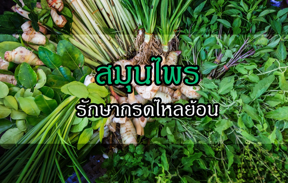 newscms thaihealth c cefhlnu45679