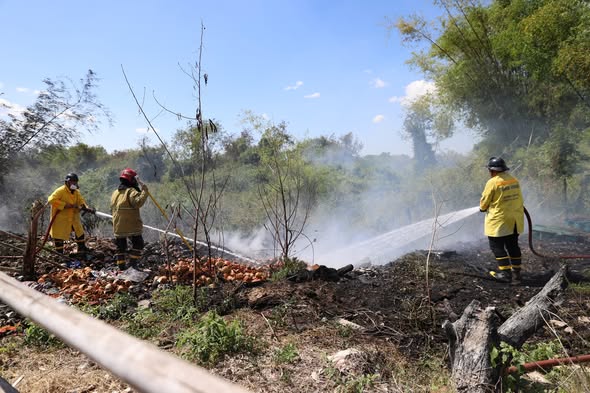 618618836 1392506042919138 5880194532138372538 n