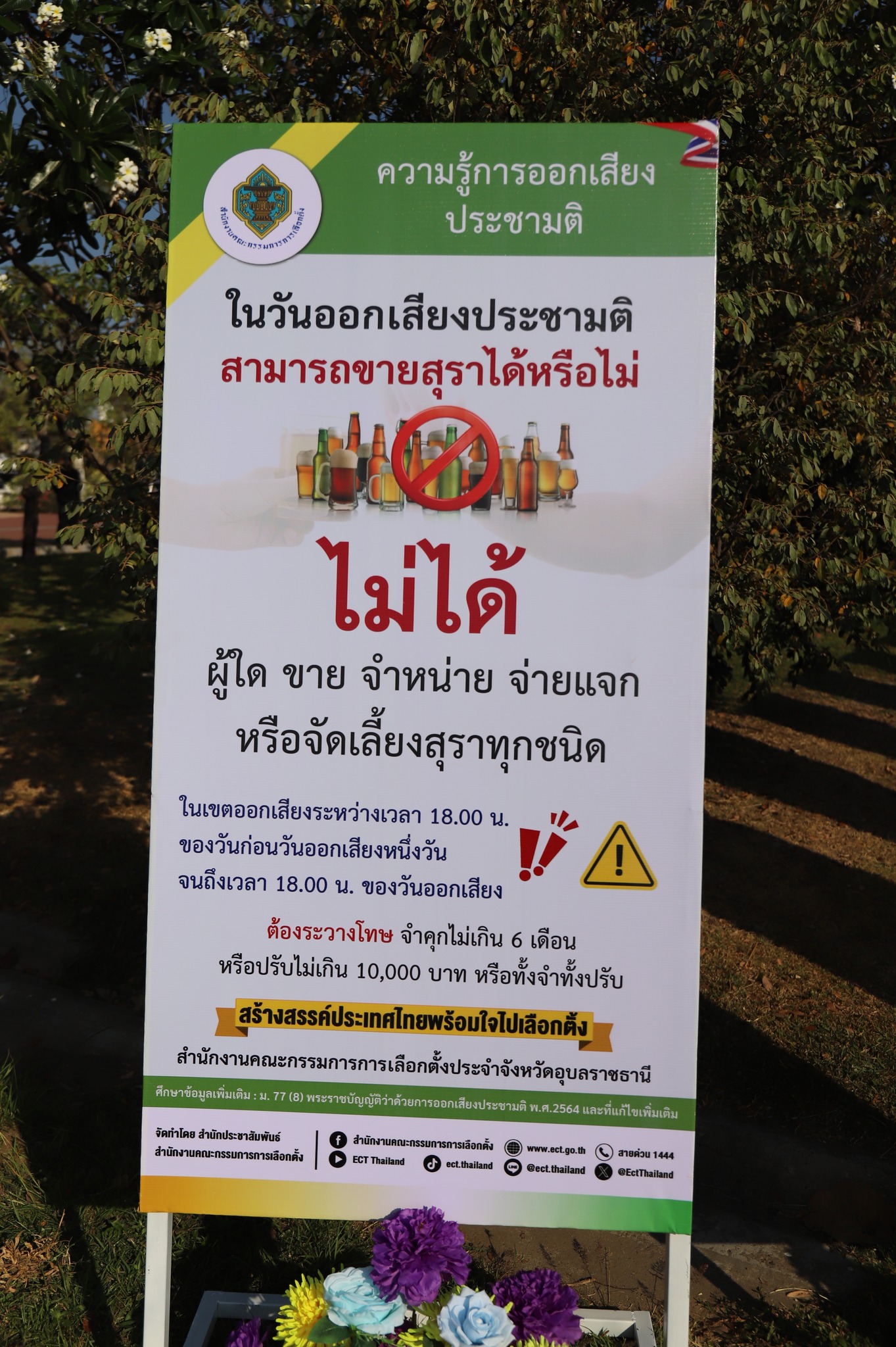 627246697 1403483301821412 5409622275067830330 n