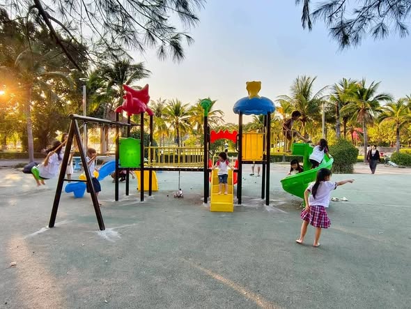 627122599 1403644698471939 8052455558225911749 n