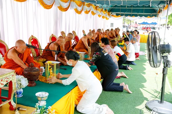 651195424 1433138728855869 6674257604342275683 n