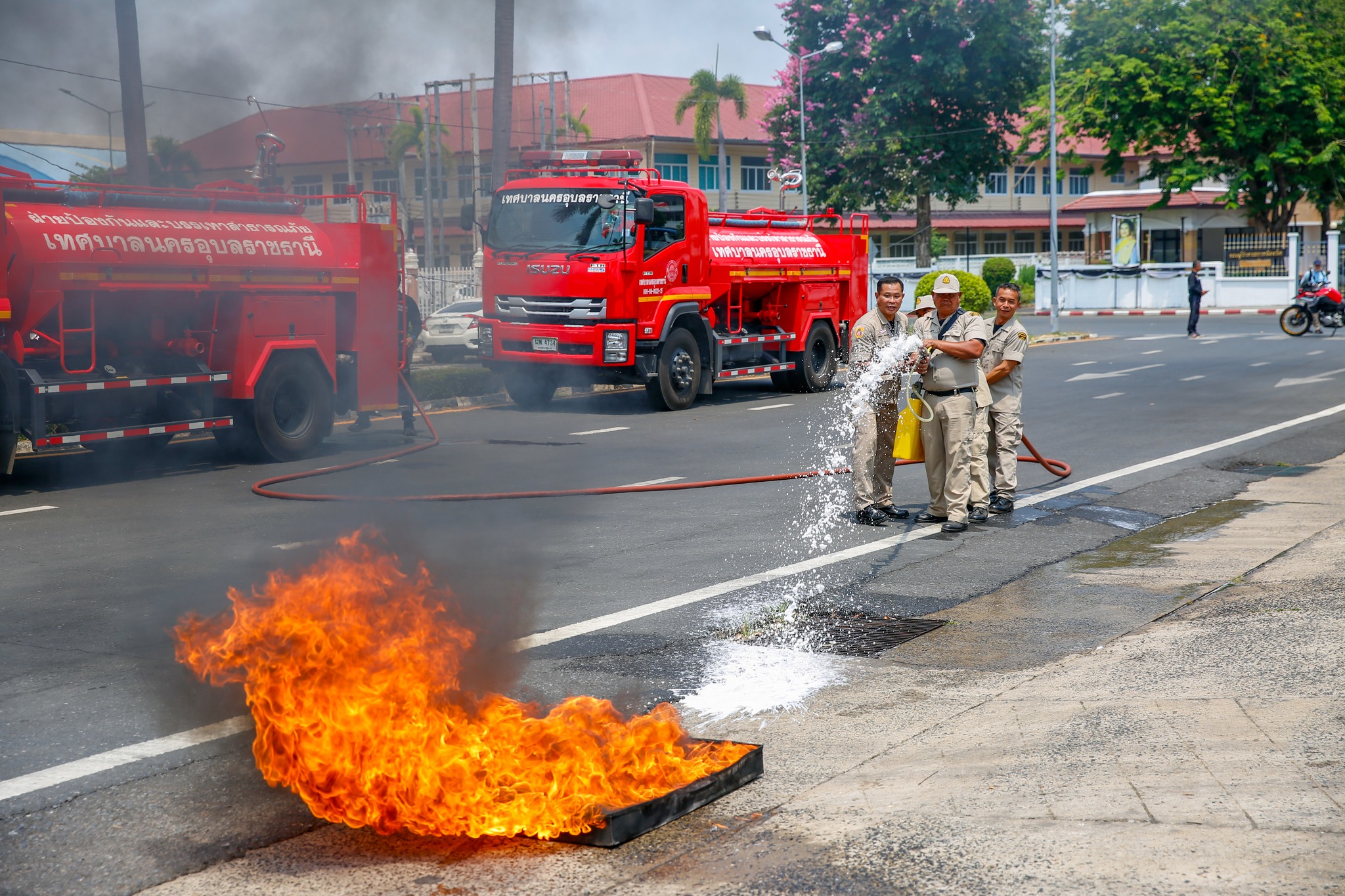 655745502 1442544434581965 8536430812351528630 n