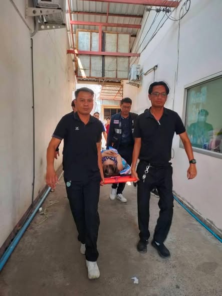 658833251 1445370974299311 2142300406846519213 n