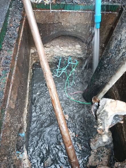 658975152 1445965750906500 1044278725592514729 n