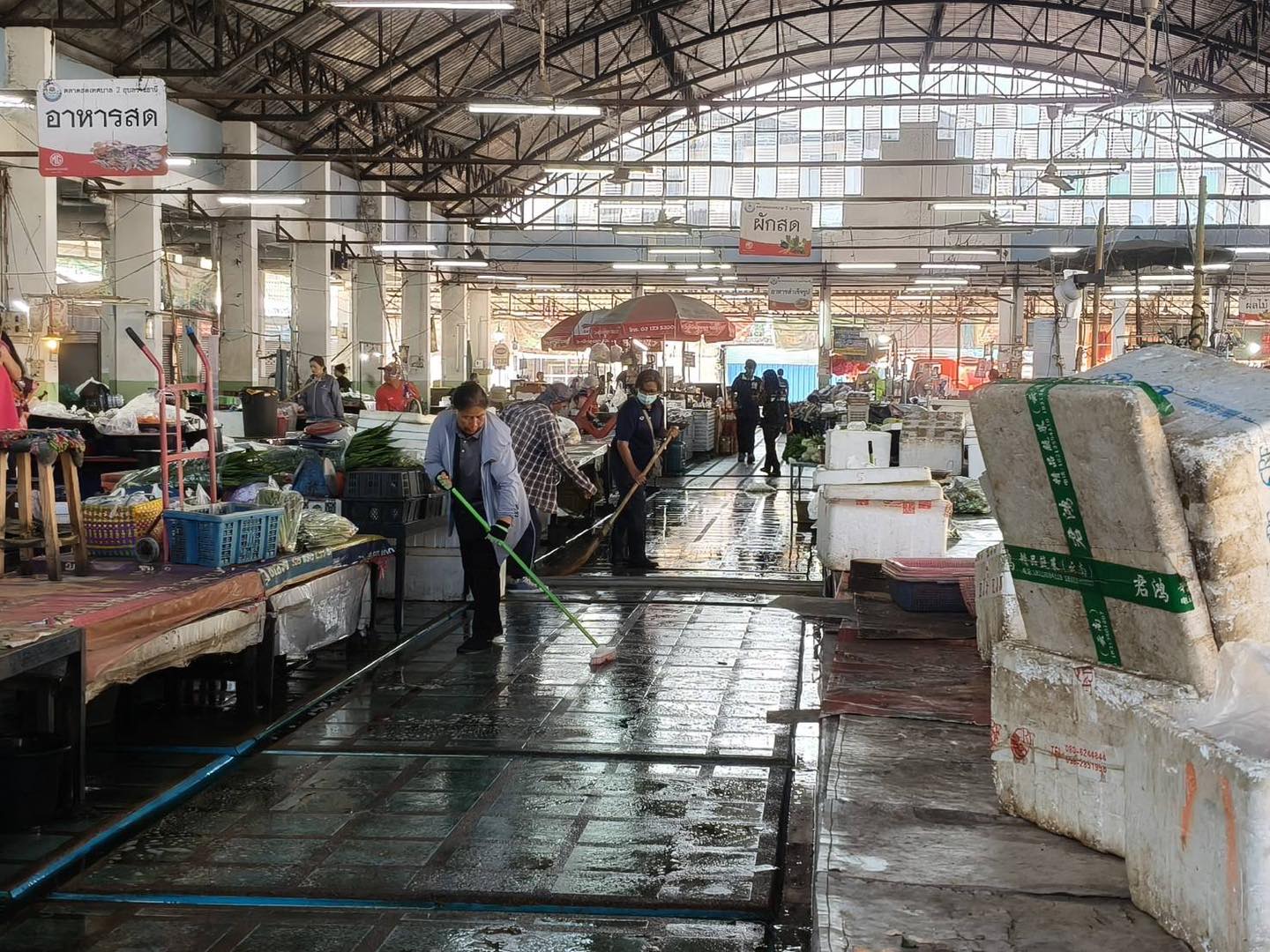 658039336 1449303157239426 3236975258767991933 n