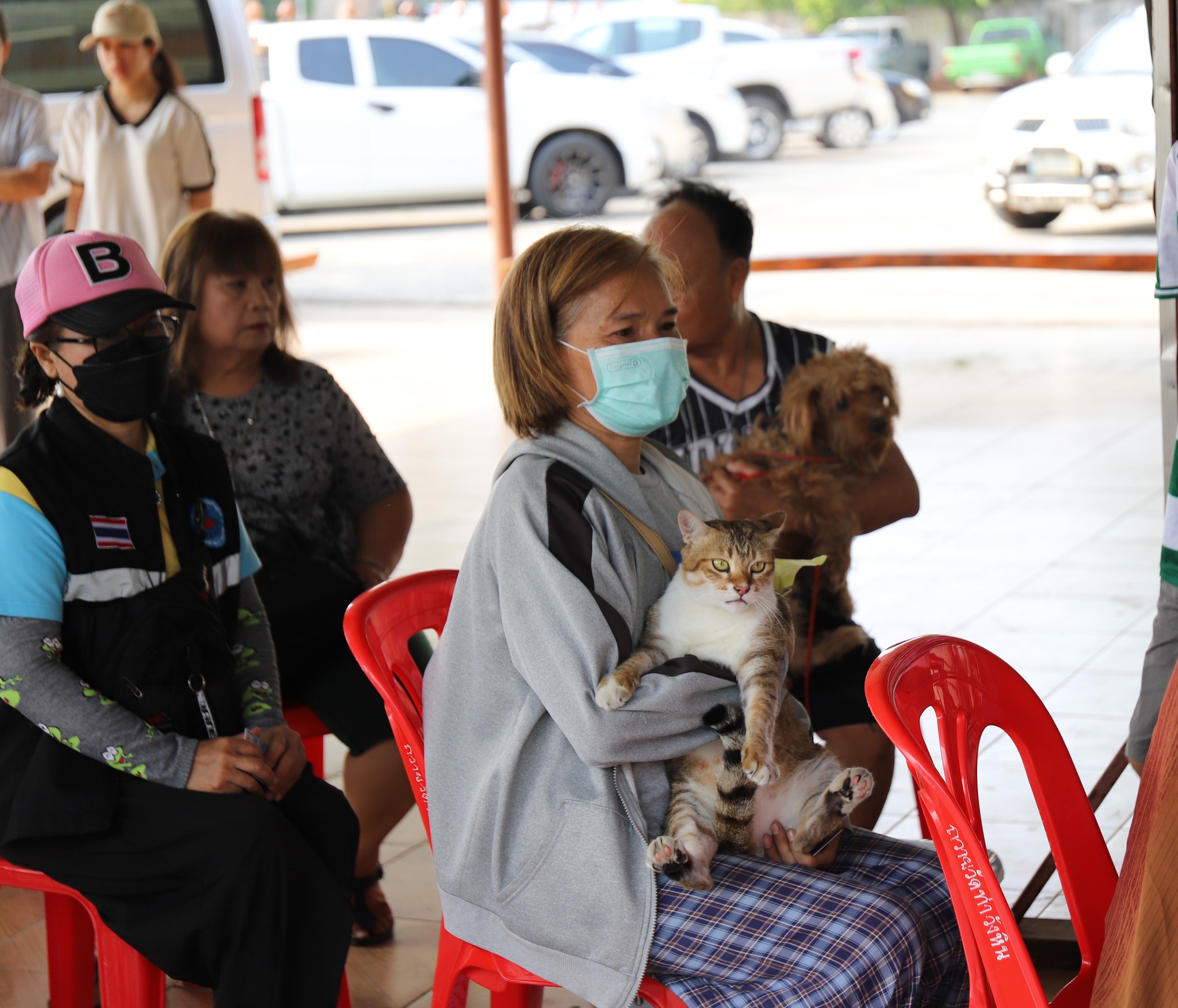 674183452 1466246235545118 8376676872044819958 n