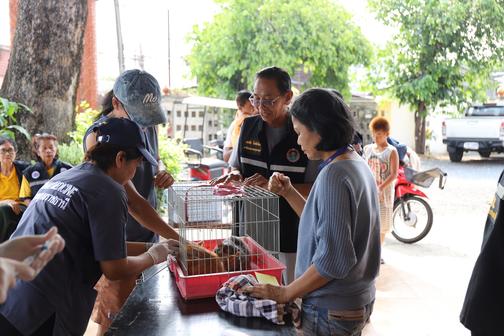 675222711 1466246252211783 8031209680346347374 n