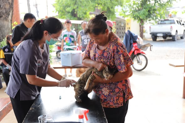 675703889 1466246192211789 8605157191890023306 n