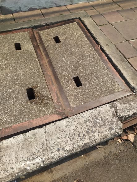 672677262 1466453982191010 2263222831540167320 n