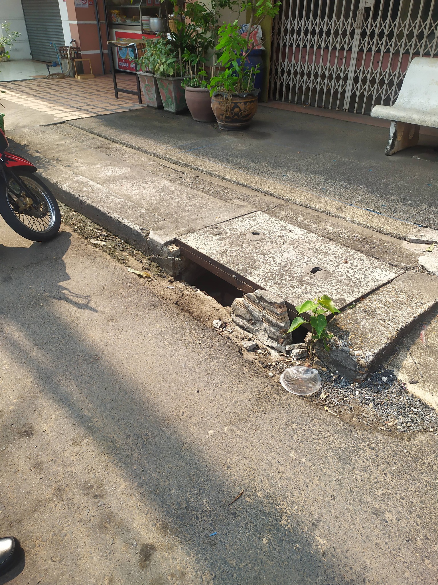 679042467 1466454285524313 5314123014912628514 n