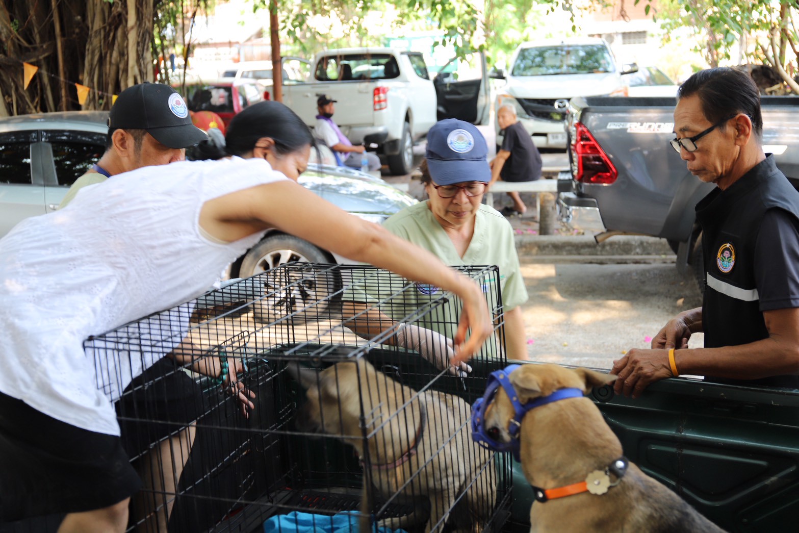 676498064 1467846095385132 5107316274469494810 n