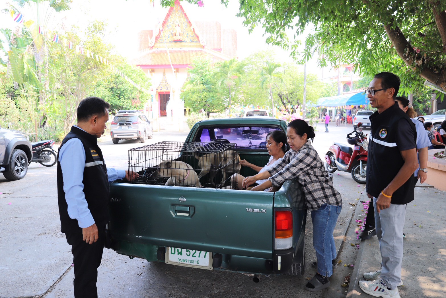 680034052 1467846005385141 239354785775110175 n