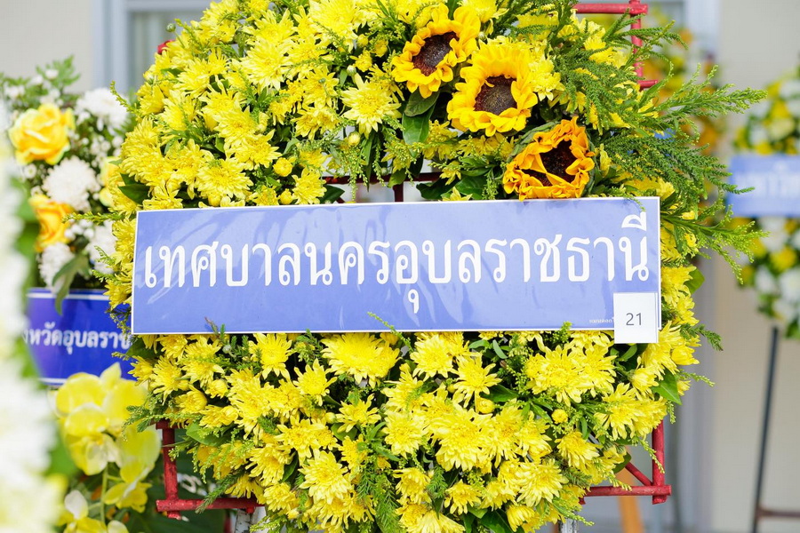 Image 006