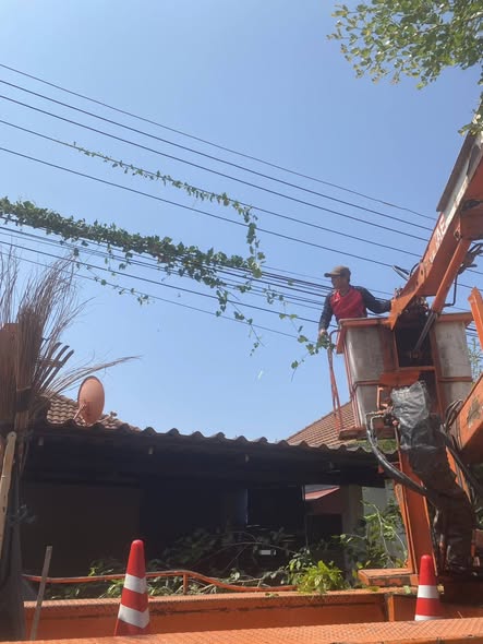 667858448 1455358273300581 4661177054129881567 n