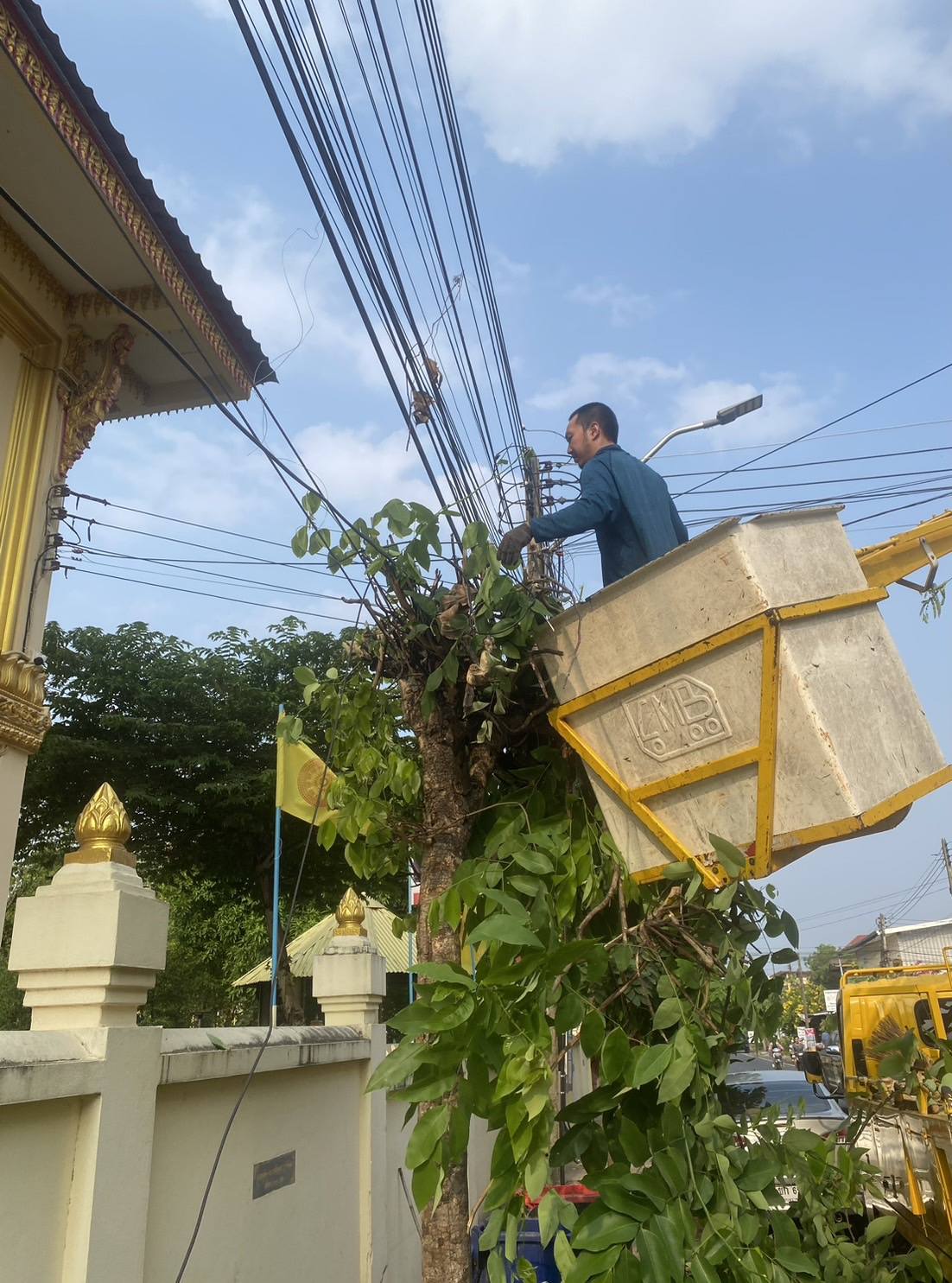 668501680 1455358686633873 9204563943341132715 n