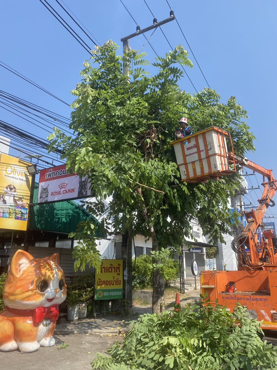 668614941 1455358536633888 1487982231993031684 n