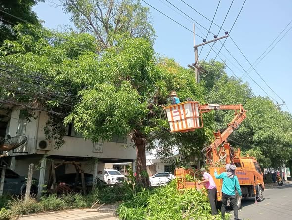 668675525 1455358226633919 2144285275091304956 n