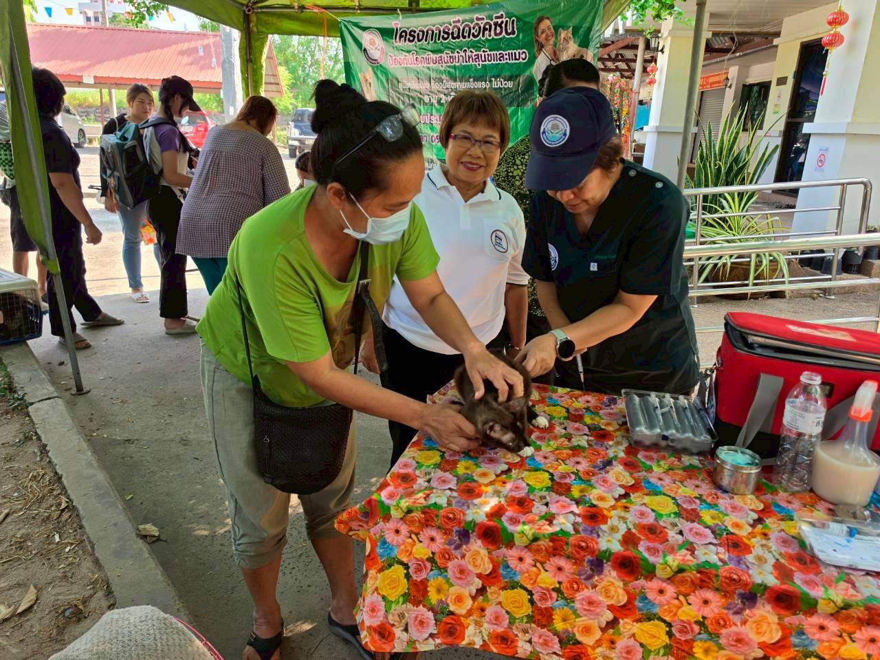 668447488 1455862819916793 1504209417813640718 n