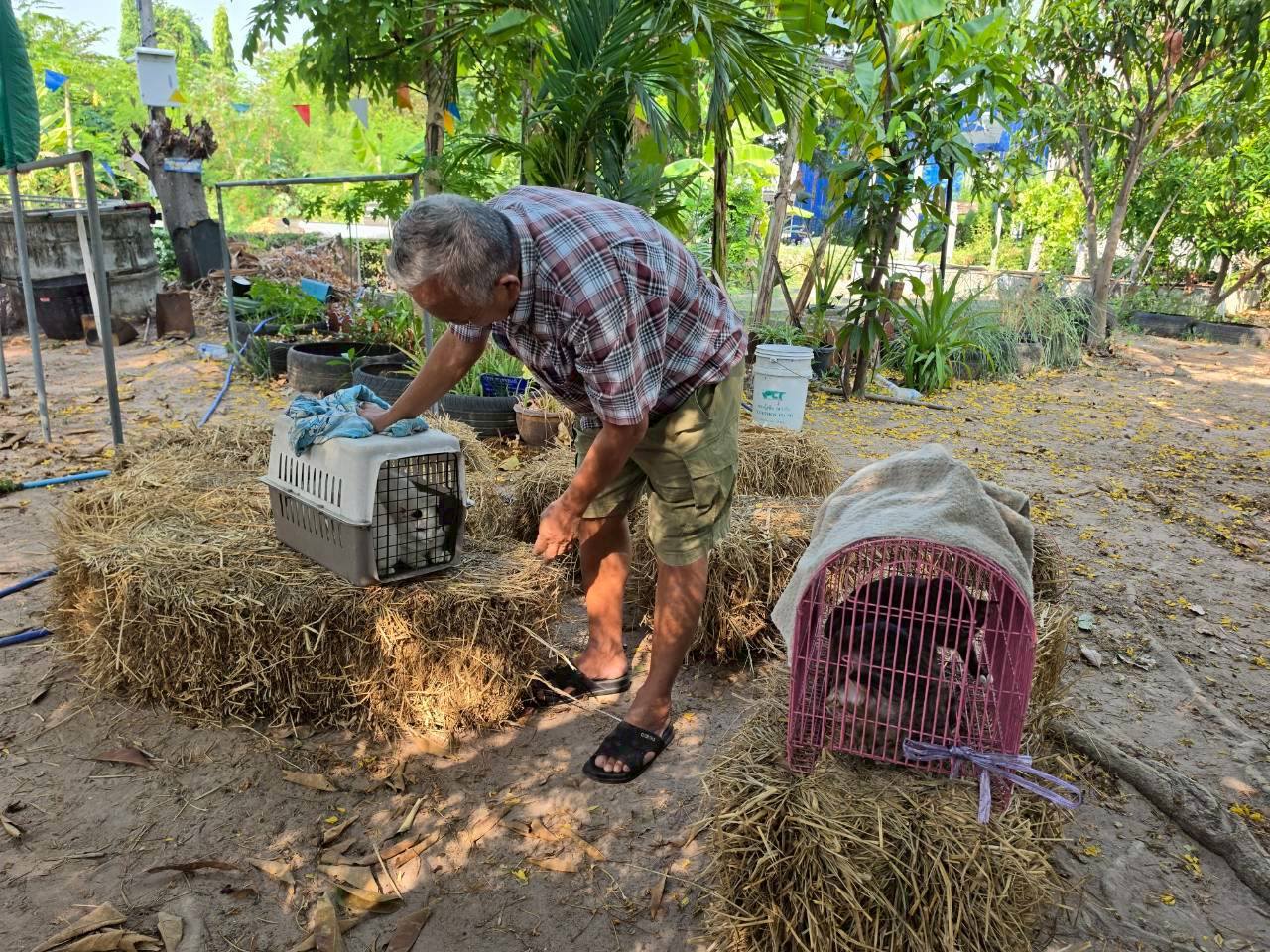 668477282 1455862786583463 1463753203730504235 n