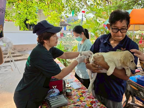 669340454 1455862613250147 9101093450187737459 n