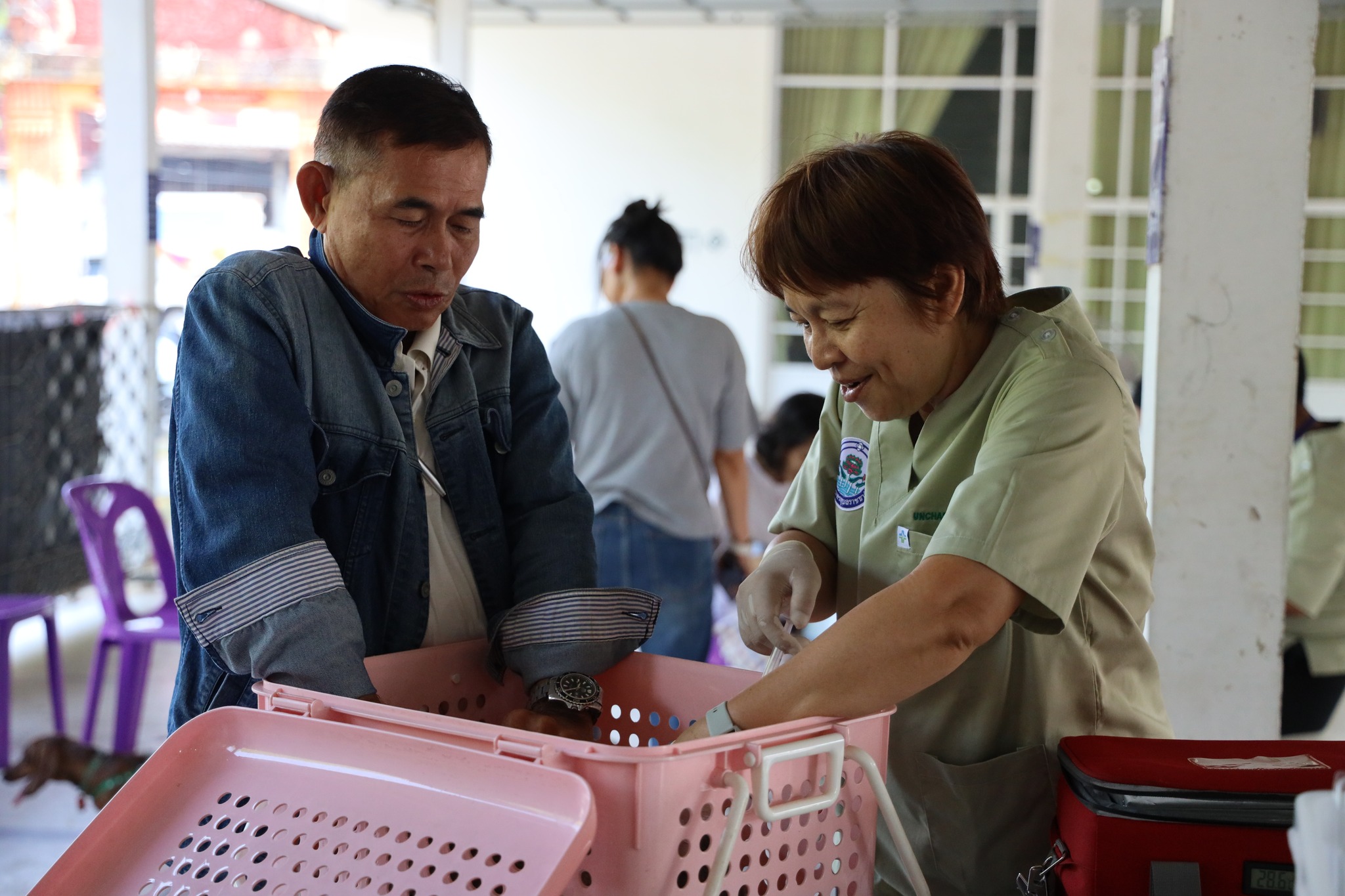 665921164 1456634736506268 8924988695600587953 n