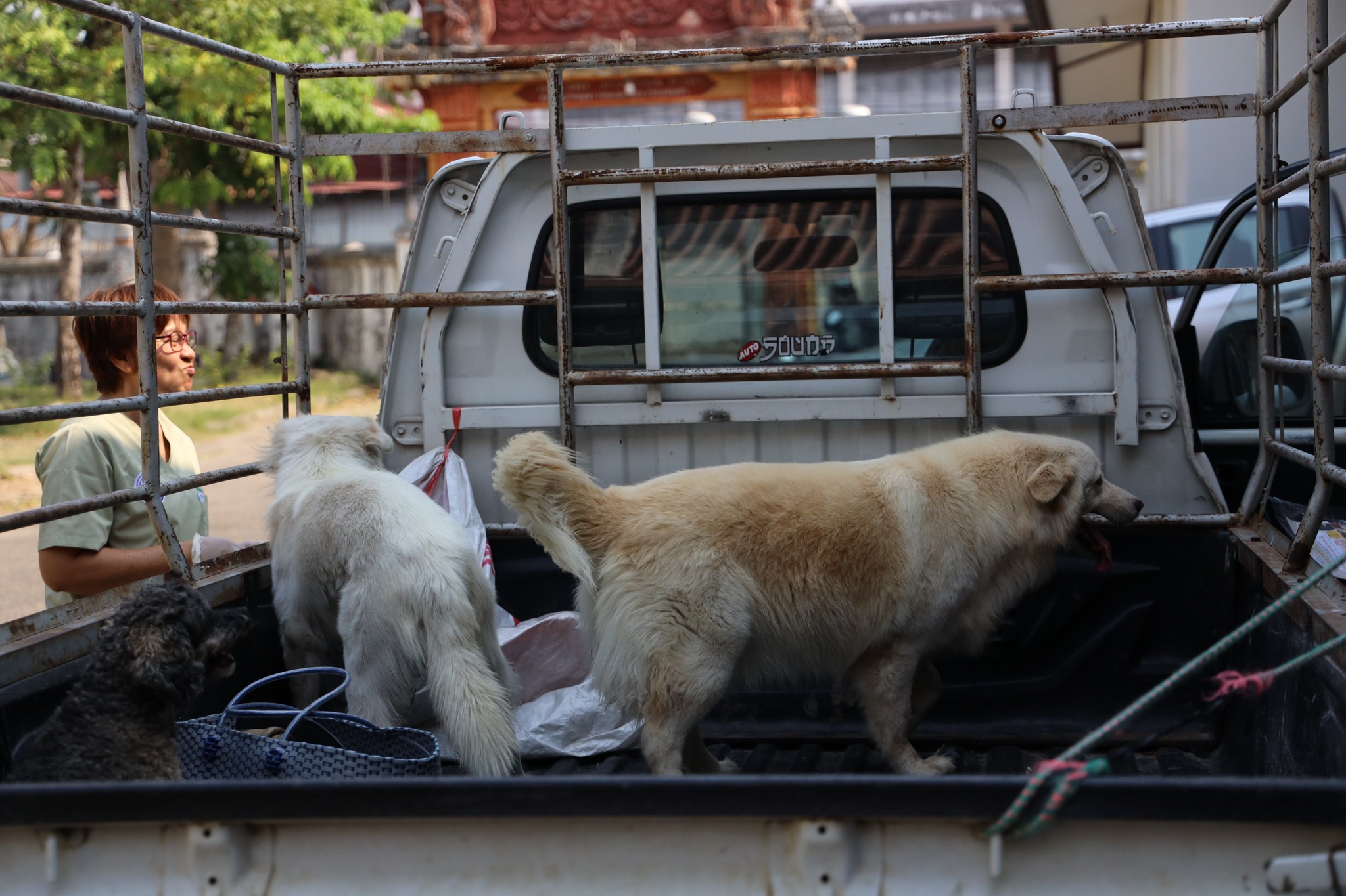 667451848 1456634763172932 5890508174048075591 n