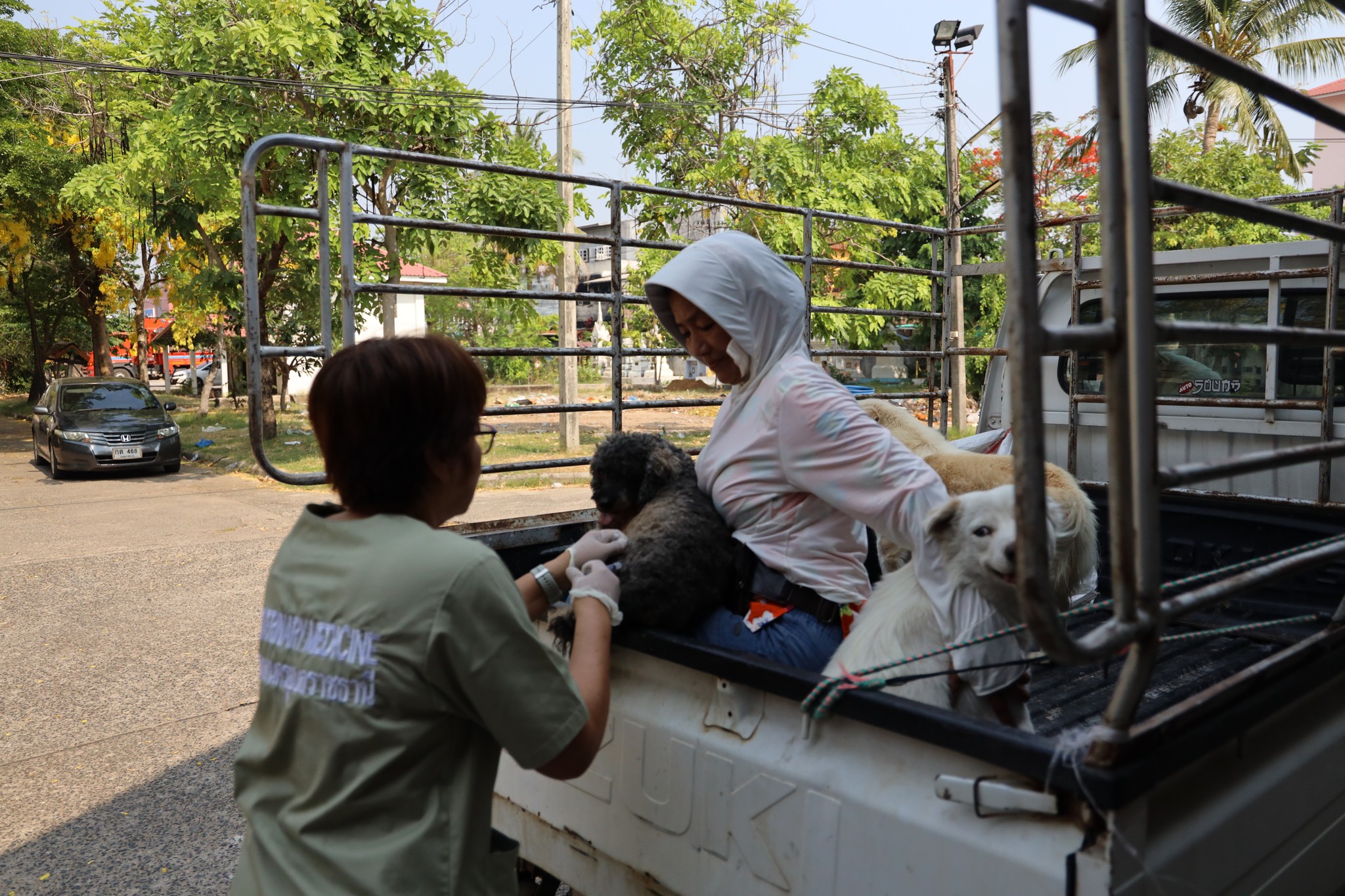 669302244 1456634139839661 519861513360505606 n