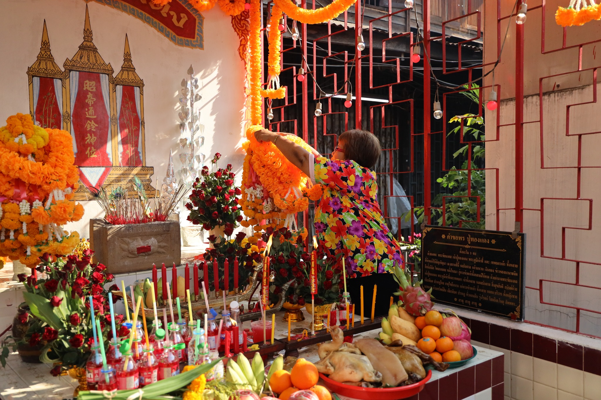 668150215 1456658356503906 1900248133798765666 n