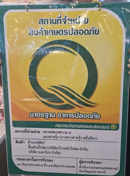 P00005